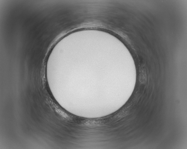 X0000081571366200702121411