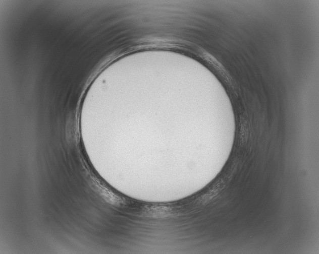 X0000081571370200702121411