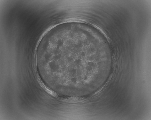 X0000081571371200702121411