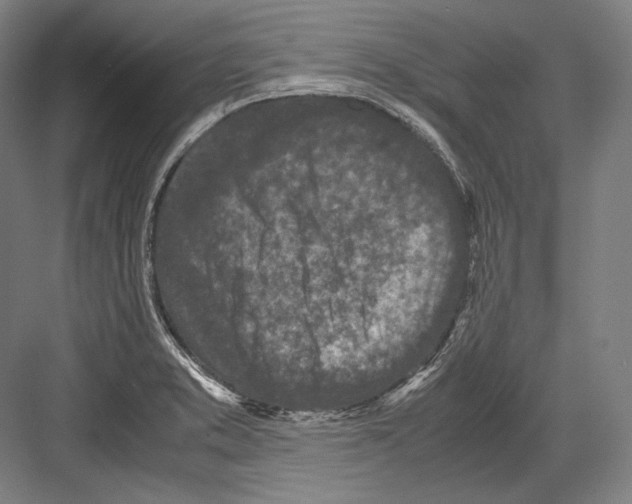 X0000081571373200702121411