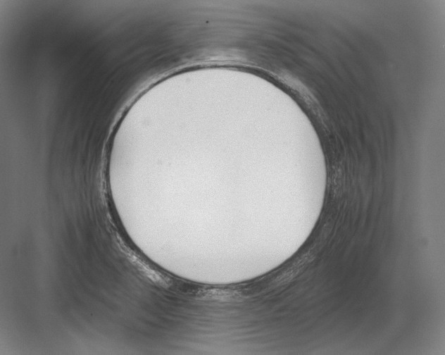 X0000081571374200702121411