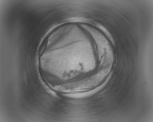 X0000081571376200702121410