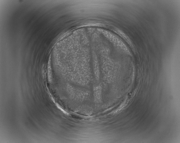 X0000081571377200702121410