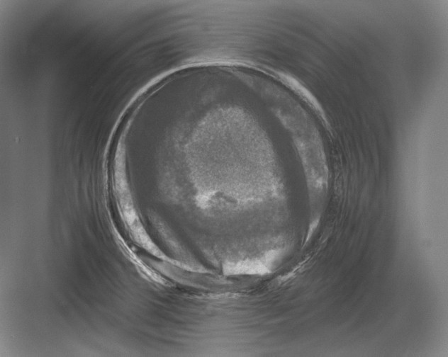 X0000081571380200702121410