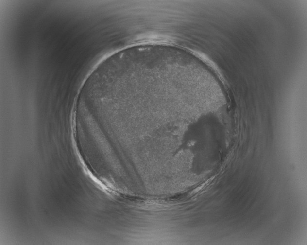 X0000081571383200702121410