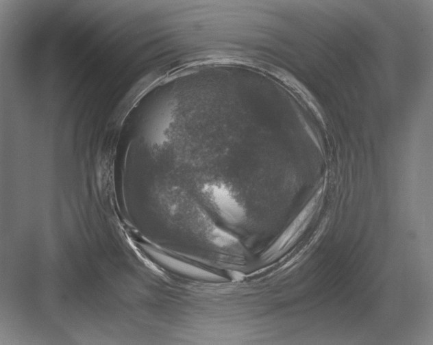 X0000081571385200702121410