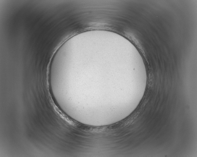 X0000081571386200702121410