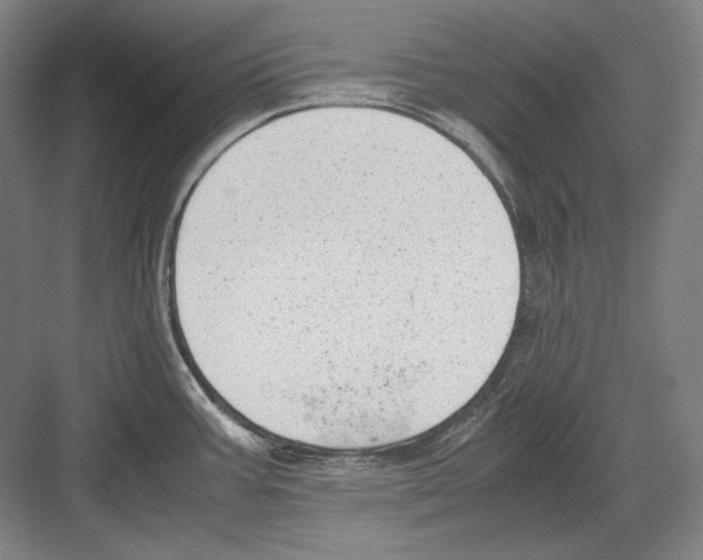 X0000081571387200702121410