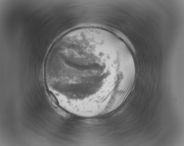 X0000081571388200702121410