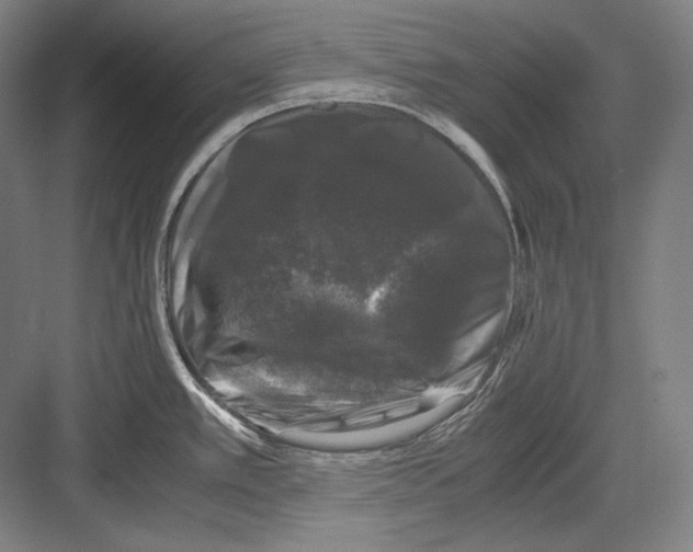 X0000081571389200702121410