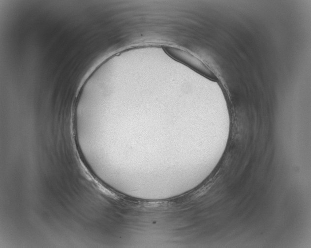 X0000081571390200702121410