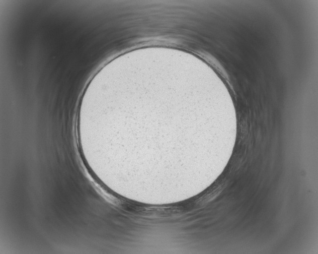 X0000081571391200702121410