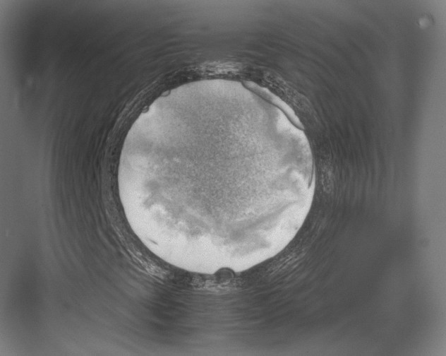 X0000081571393200702121409