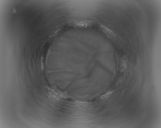 X0000081571394200702121409