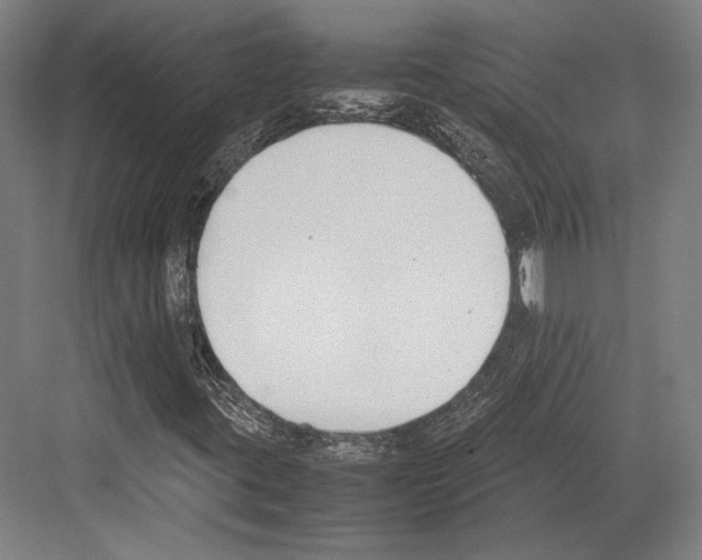 X0000081571395200702121409