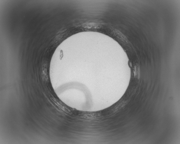 X0000081571396200702121409