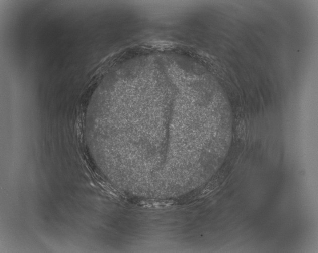 X0000081571397200702121409