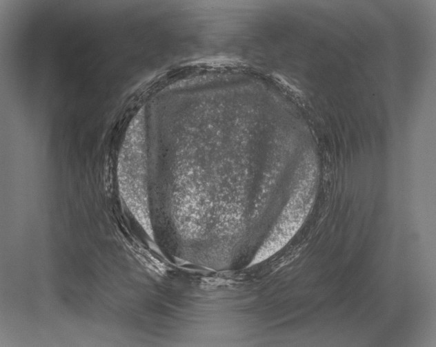 X0000081571398200702121409