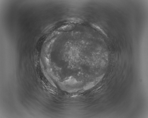 X0000081571399200702121410