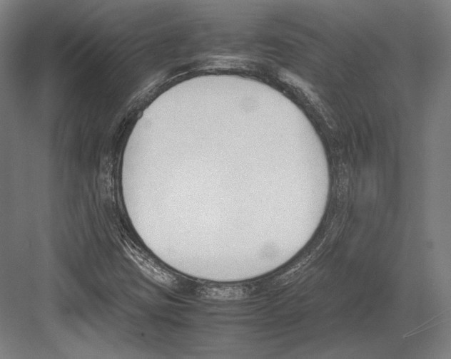 X0000081571403200702121410