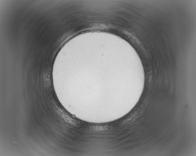 X0000081571409200702121410