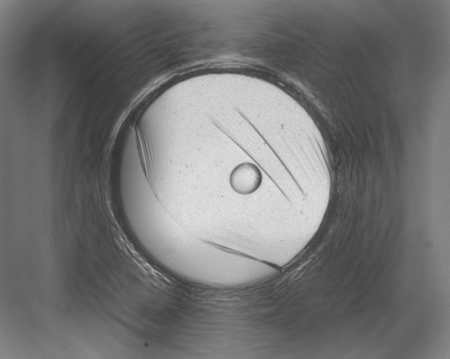 X0000081571410200702121410