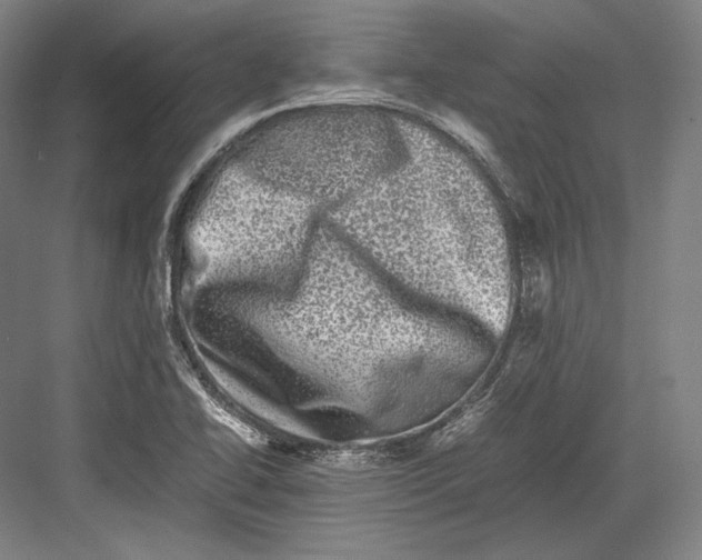 X0000081571414200702121410