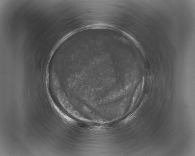 X0000081571418200702121410