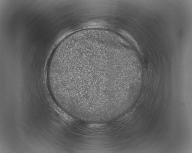 X0000081571419200702121410