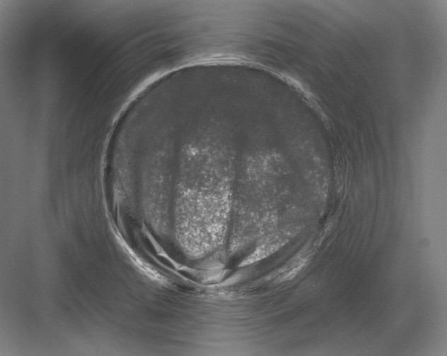 X0000081571422200702121410