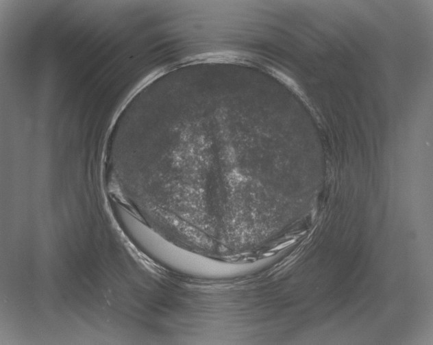 X0000081571426200702121410