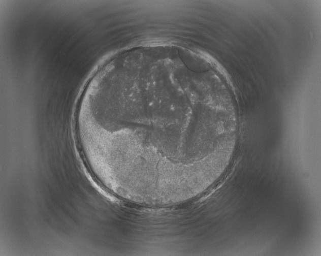 X0000081571429200702121410