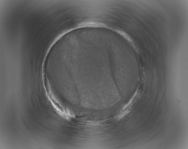 X0000081571430200702121410