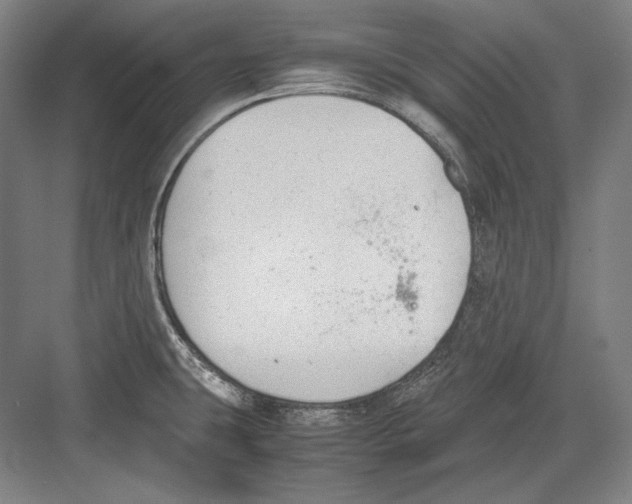 X0000081571431200702121410