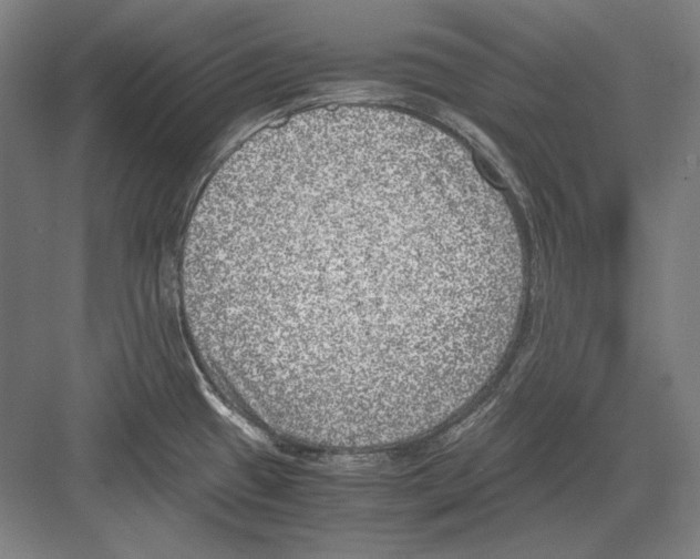 X0000081571433200702121410