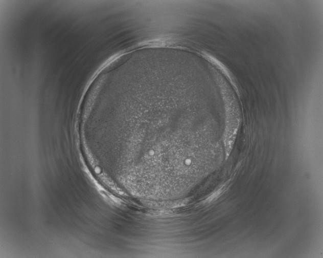 X0000081571434200702121410