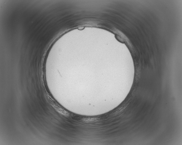 X0000081571435200702121410