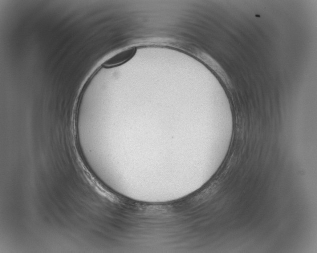 X0000081571436200702121410