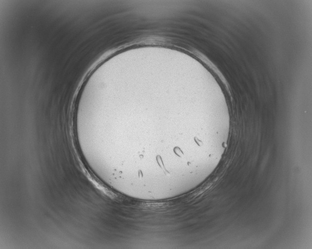 X0000081571437200702121410