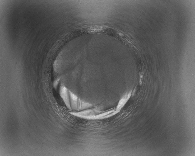 X0000081571441200702121409