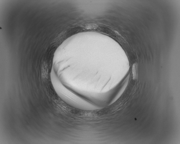 X0000081571443200702121409