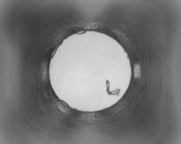 X0000081571444200702121409