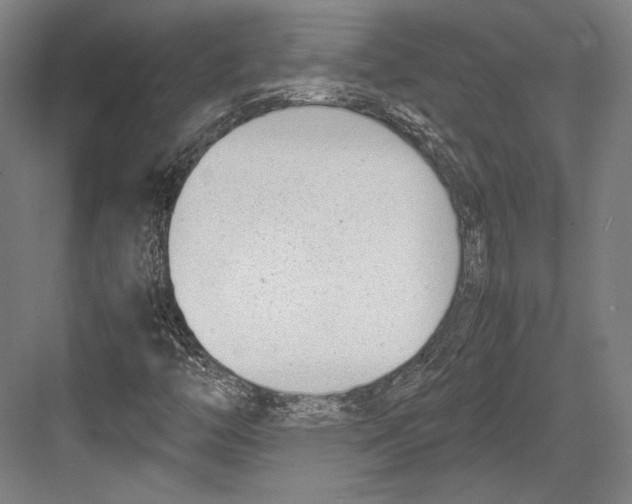 X0000081571446200702121409