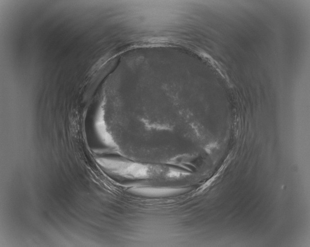 X0000081571449200702121409