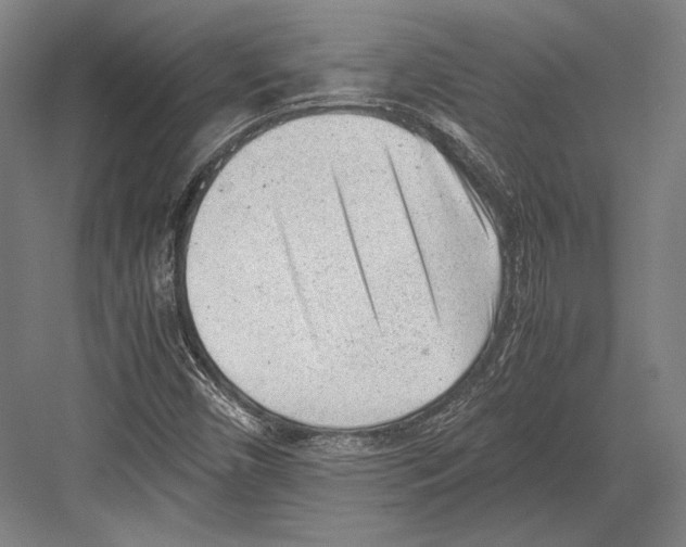 X0000081571450200702121409