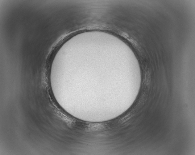 X0000081571454200702121409