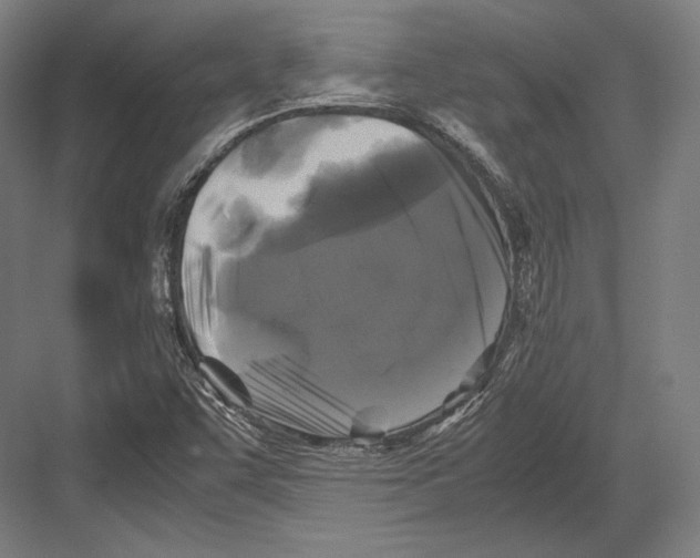 X0000081571455200702121409