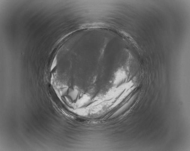 X0000081571457200702121409