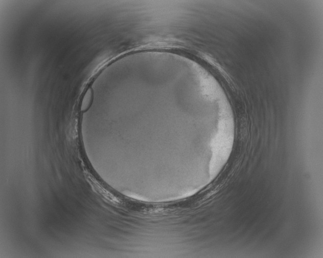 X0000081571459200702121409