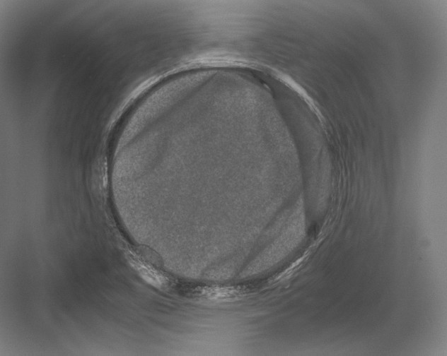 X0000081571461200702121409